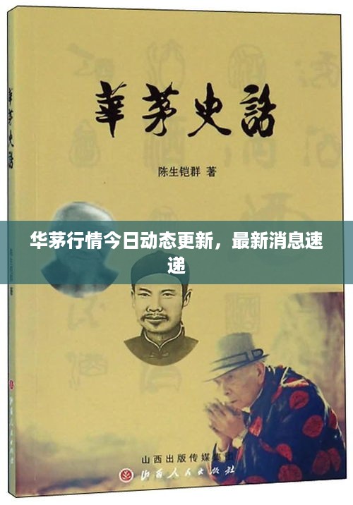 华茅行情今日动态更新，最新消息速递