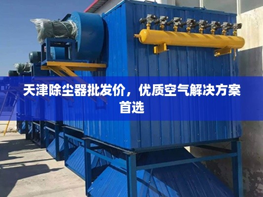 天津除尘器批发价，优质空气解决方案首选