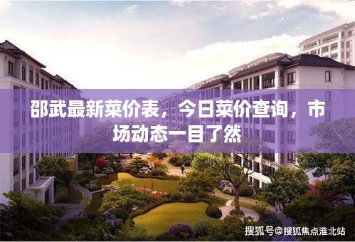 邵武最新菜价表，今日菜价查询，市场动态一目了然