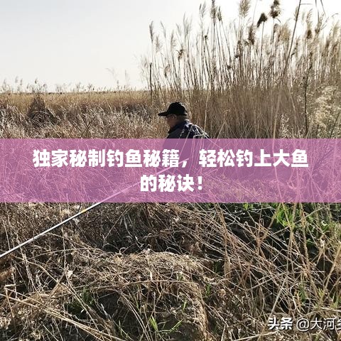 独家秘制钓鱼秘籍，轻松钓上大鱼的秘诀！