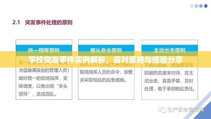 学校突发事件实例解析，应对策略与经验分享