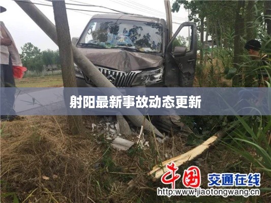 射阳最新事故动态更新