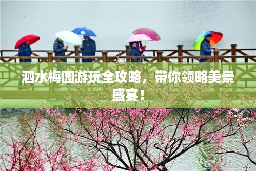 泗水梅园游玩全攻略，带你领略美景盛宴！