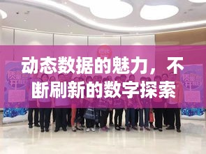 动态数据的魅力，不断刷新的数字探索之旅