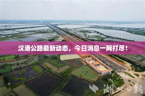 汉港公路最新动态，今日消息一网打尽！