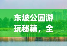 东坡公园游玩秘籍，全方位攻略助你畅游美景！