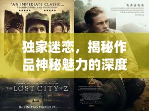 独家迷恋，揭秘作品神秘魅力的深度探索