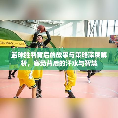 篮球胜利背后的故事与策略深度解析，赛场背后的汗水与智慧