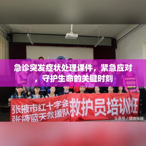 急诊突发症状处理课件，紧急应对，守护生命的关键时刻