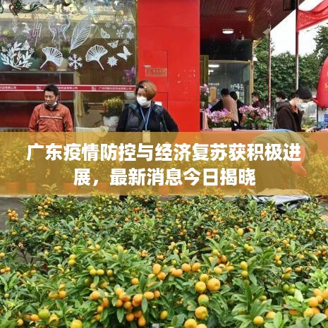 广东疫情防控与经济复苏获积极进展，最新消息今日揭晓