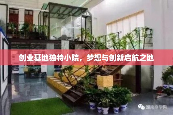 创业基地独特小院，梦想与创新启航之地