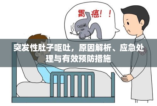 突发性肚子呕吐，原因解析、应急处理与有效预防措施