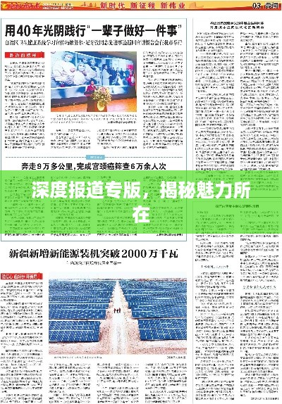 深度报道专版，揭秘魅力所在