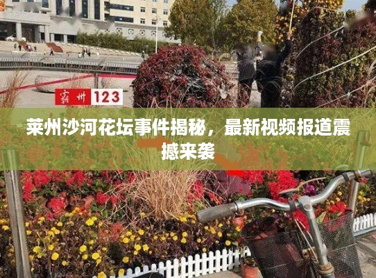 莱州沙河花坛事件揭秘，最新视频报道震撼来袭