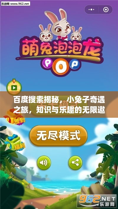 百度搜索揭秘，小兔子奇遇之旅，知识与乐趣的无限遨游