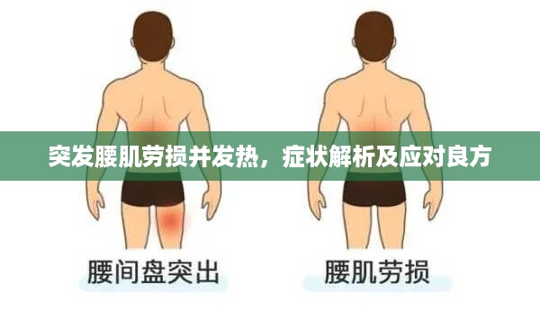 突发腰肌劳损并发热，症状解析及应对良方