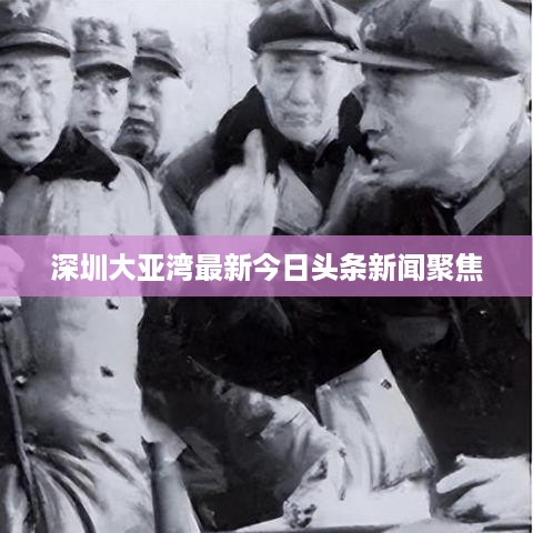 深圳大亚湾最新今日头条新闻聚焦