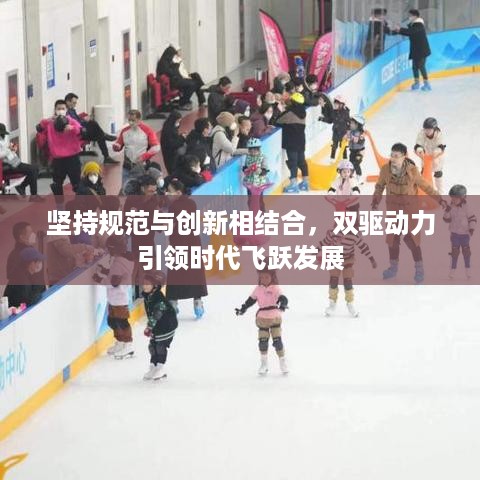 坚持规范与创新相结合，双驱动力引领时代飞跃发展