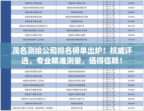 虎背熊腰 第2页