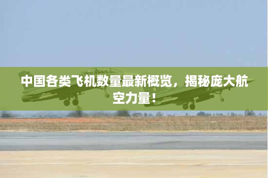 中国各类飞机数量最新概览，揭秘庞大航空力量！