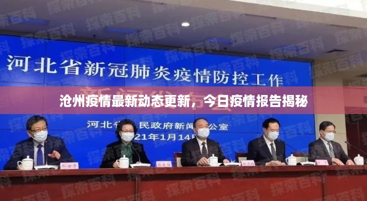 沧州疫情最新动态更新，今日疫情报告揭秘