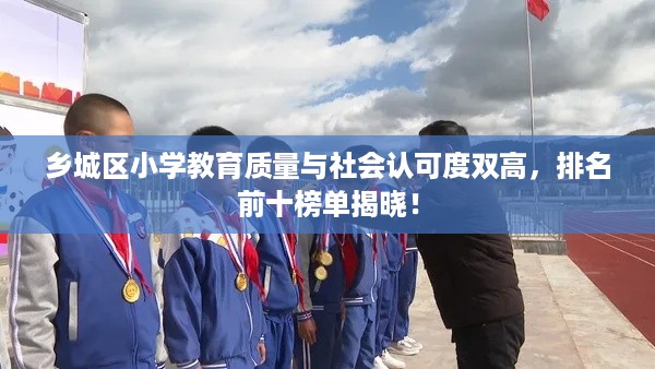 乡城区小学教育质量与社会认可度双高，排名前十榜单揭晓！