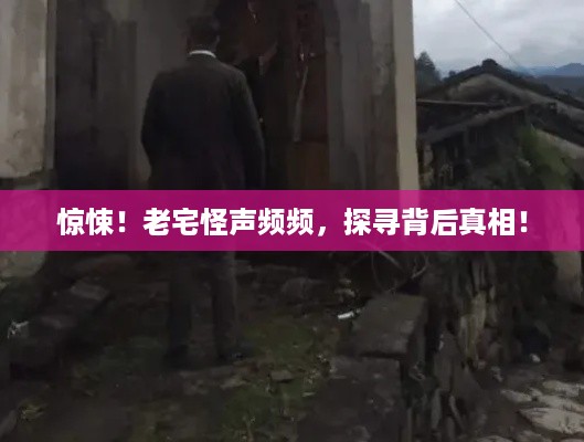 惊悚！老宅怪声频频，探寻背后真相！