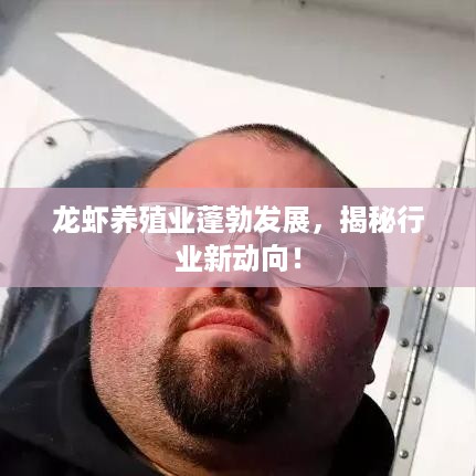 龙虾养殖业蓬勃发展，揭秘行业新动向！
