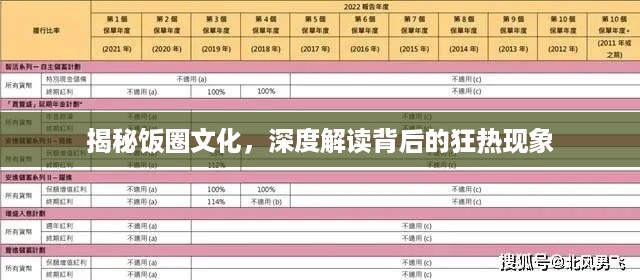 揭秘饭圈文化，深度解读背后的狂热现象