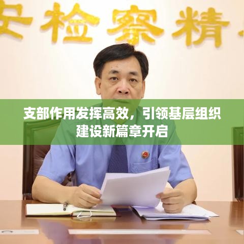 支部作用发挥高效，引领基层组织建设新篇章开启