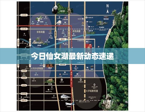 今日仙女湖最新动态速递