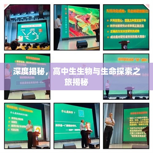 深度揭秘，高中生生物与生命探索之旅揭秘