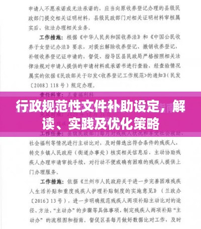 行政规范性文件补助设定，解读、实践及优化策略