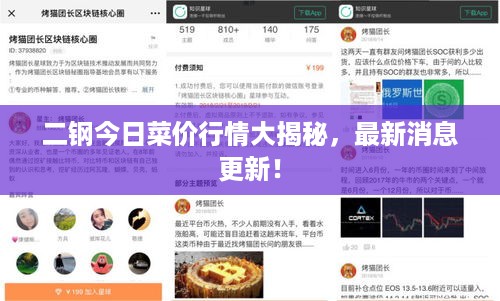 二钢今日菜价行情大揭秘，最新消息更新！