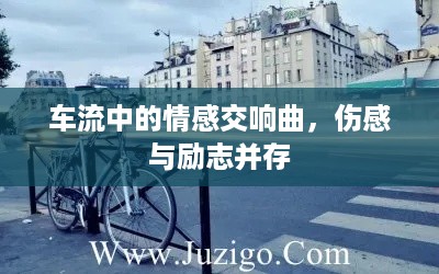 车流中的情感交响曲，伤感与励志并存