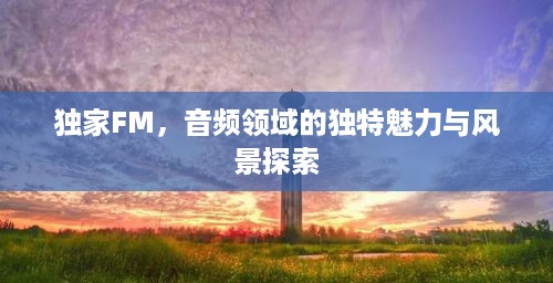 独家FM，音频领域的独特魅力与风景探索