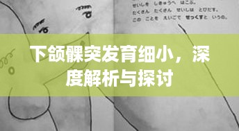 下颌髁突发育细小，深度解析与探讨