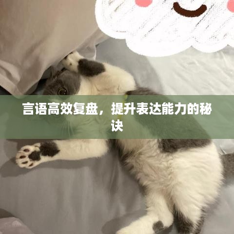 手不释卷 第2页