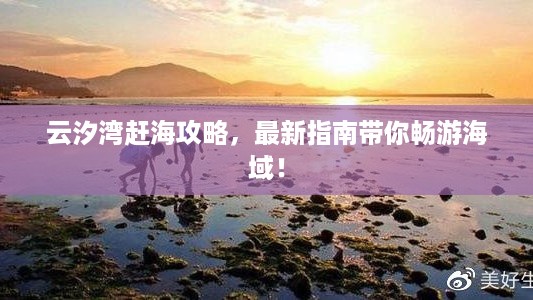 云汐湾赶海攻略，最新指南带你畅游海域！