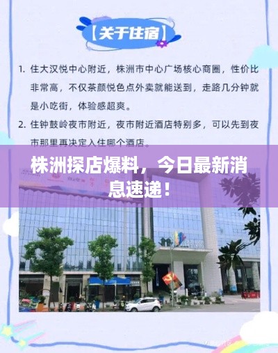 株洲探店爆料，今日最新消息速递！