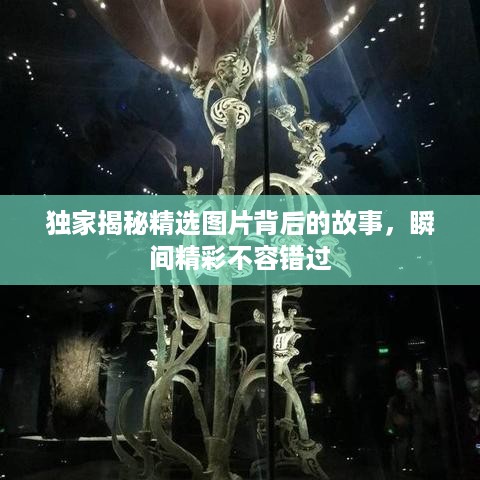 独家揭秘精选图片背后的故事，瞬间精彩不容错过