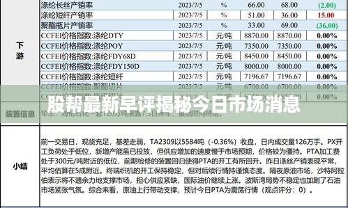 股帮最新早评揭秘今日市场消息