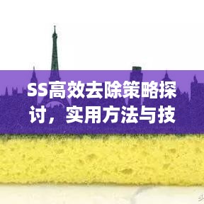 SS高效去除策略探讨，实用方法与技巧揭秘