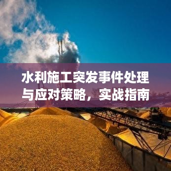 水利施工突发事件处理与应对策略，实战指南