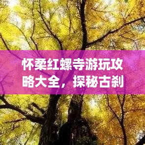 怀柔红螺寺游玩攻略大全，探秘古刹美景，尽享自然人文双重盛宴！