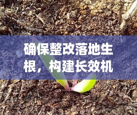 确保整改落地生根，构建长效机制的关键路径探索