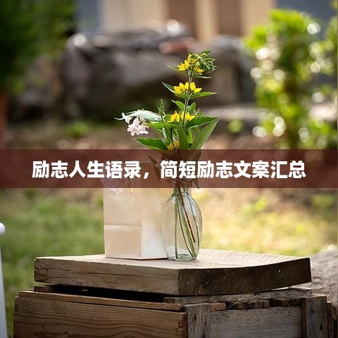 励志人生语录，简短励志文案汇总