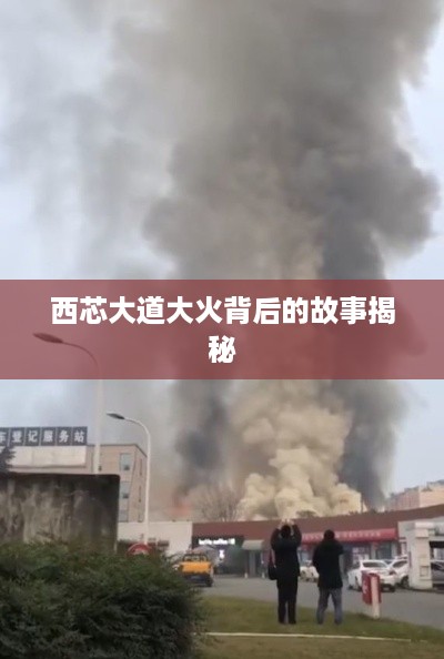 还淳反素 第2页