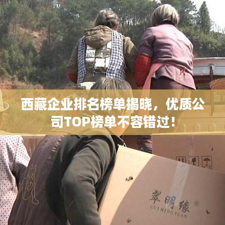 西藏企业排名榜单揭晓，优质公司TOP榜单不容错过！