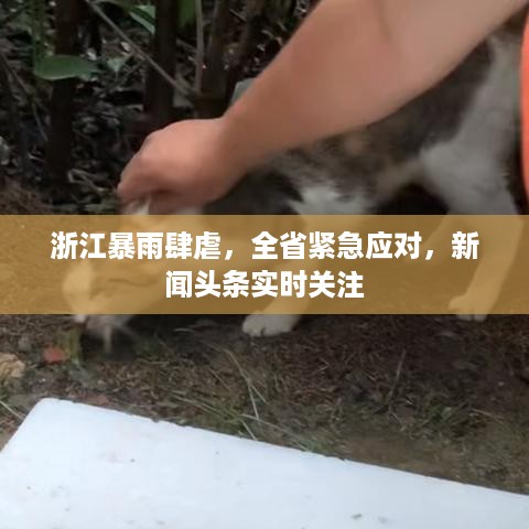 浙江暴雨肆虐，全省紧急应对，新闻头条实时关注